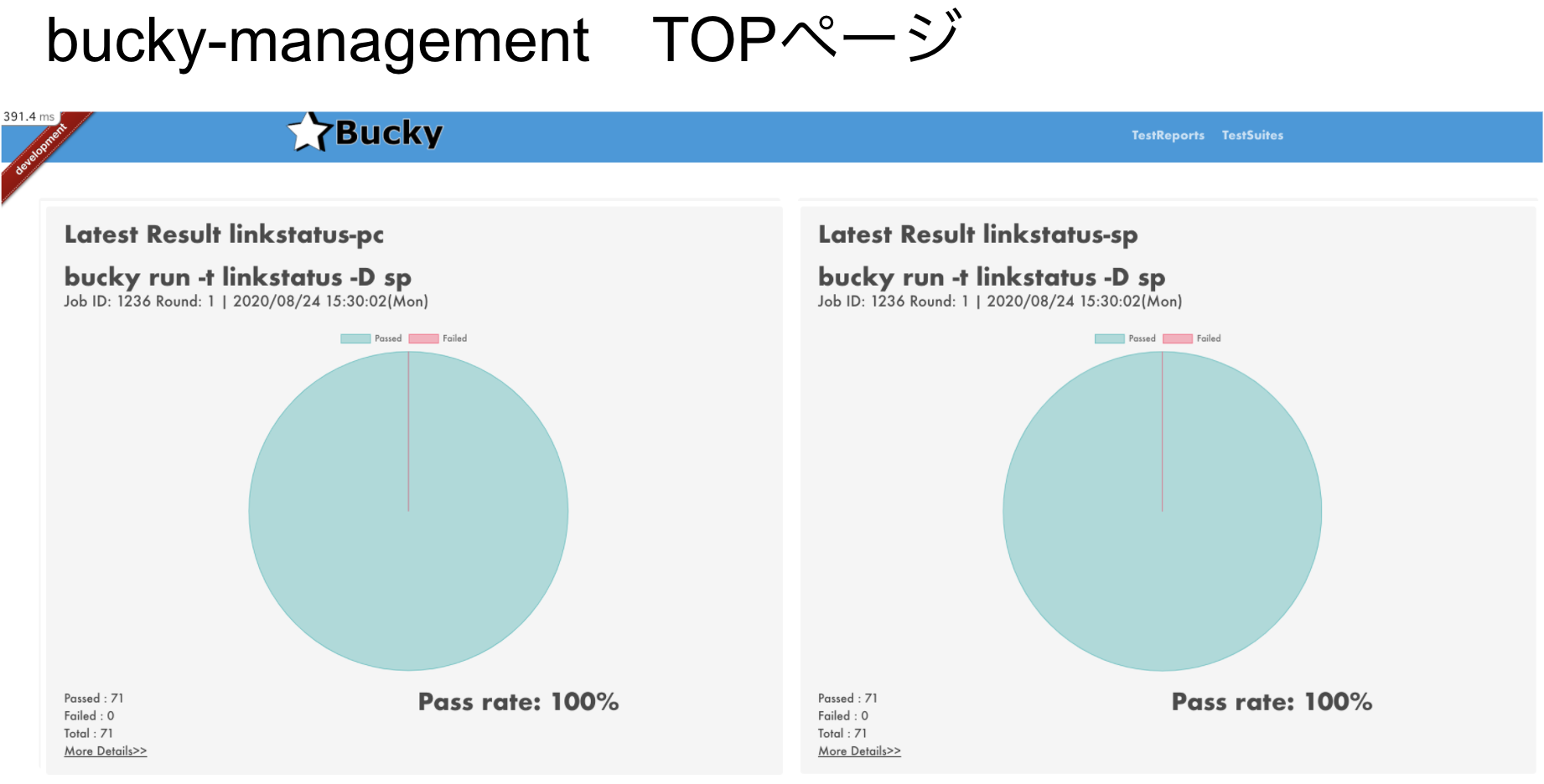 bucky-management TOP